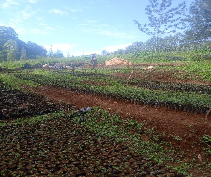 Dairy Research Farm