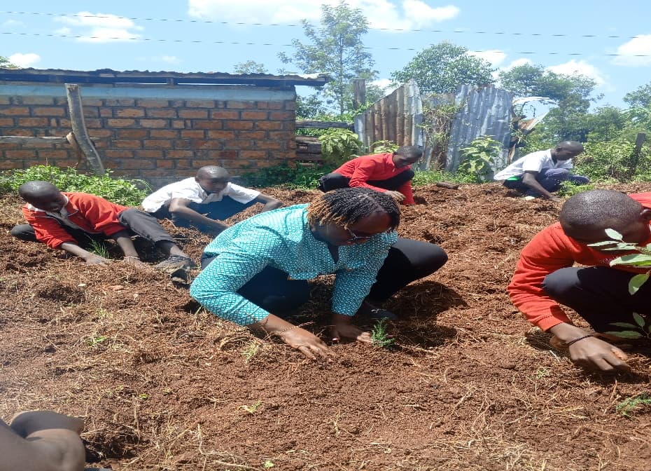 Nyosia Farm & Agroforestry Demonstration Station