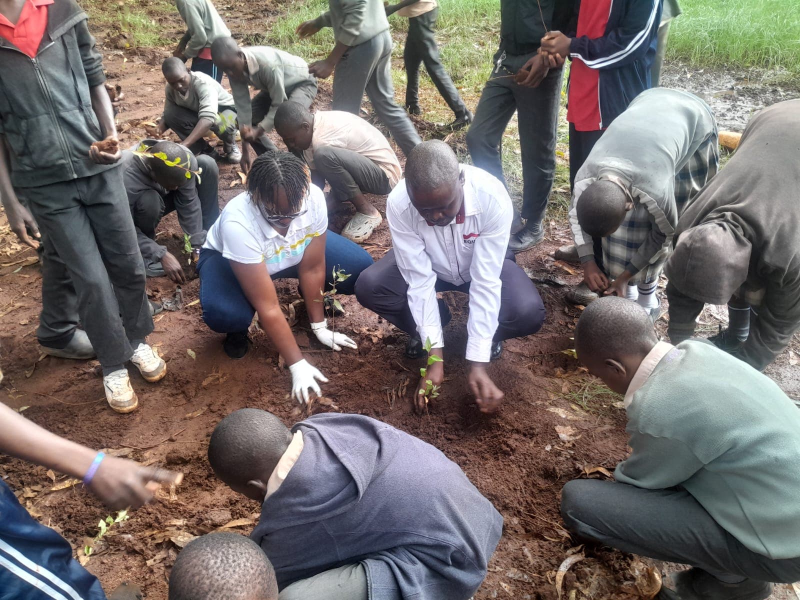 Environment & Sustainability